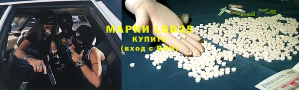 apvp Горняк