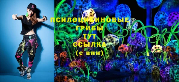 apvp Горняк