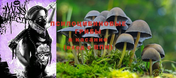 герыч Горнозаводск