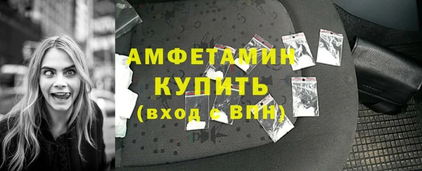 apvp Горняк