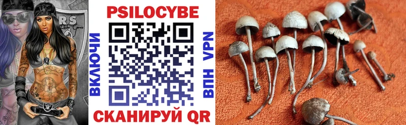 Купить закладки  Кубинка  Псилоцибиновые грибы мухоморы 